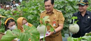 WALI KOTA BANJARBARU PANEN MELON BERSAMA KELOMPOK ANEKA TANI