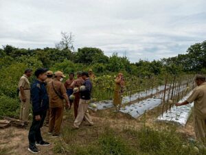 PROGRAM RT MANDIRI BERKEMBANG DI BANJARBARU