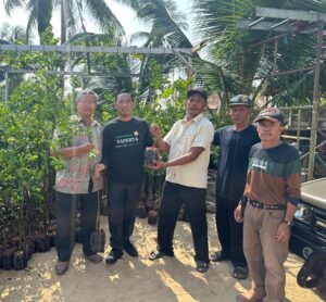 WINDI BAGIKAN SERIBU BIBIT POHON BUAH JERUK