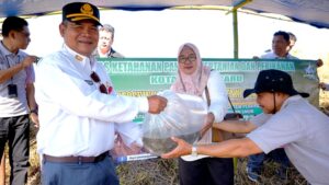 RIBUAN BIBIT IKAN DILEPAS DI EMBUNG CEMPAKA