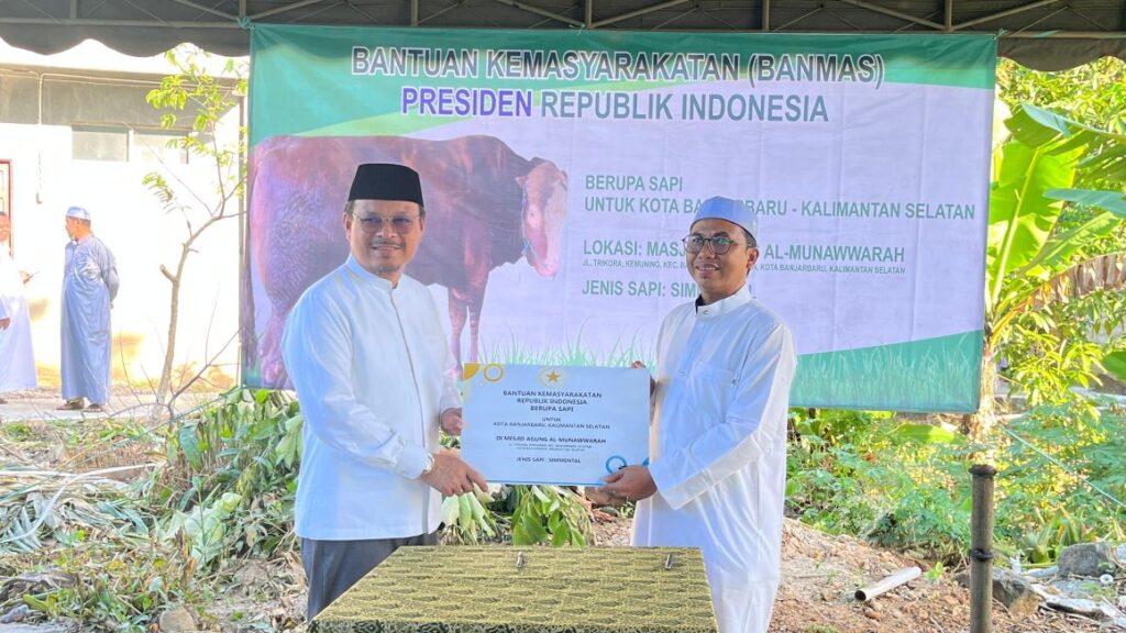 SAPI KURBAN PRESIDEN DISERAHKAN DI BANJARBARU, BERAT CAPAI 933 KILOGRAM
