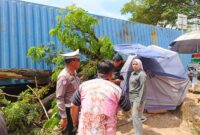PELAJAR JADI KORBAN, SISKA MONALISA DESAK DLH KALSEL TANGANI MASALAH POHON