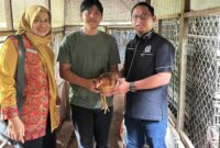 ORONG KEMANDIRIAN WARGA, WINDI NOVIANTO SERAHKAN BANTUAN 133 EKOR AYAM PETELUR