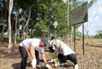 PLN GROUP BALIKPAPAN TANAM 1.500 POHON DI HUTAN LINDUNG MANGGAR, JAGA SUMBER AIR KOTA