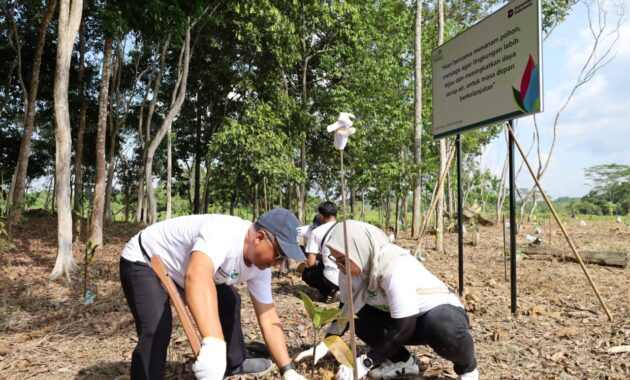 PLN GROUP BALIKPAPAN TANAM 1.500 POHON DI HUTAN LINDUNG MANGGAR, JAGA SUMBER AIR KOTA