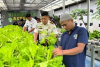 KADER PANGAN LAHIR DI LAPAS BANJARMASIN, AWAL BUDAYA DISIPLIN DAN TANGGUNG JAWAB BARU