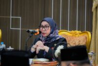 WFH ASN MULAI JALAN DI BANJARBARU, LISA JAMIN LAYANAN PUBLIK TETAP NORMAL