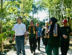 TANAM GAHARU, WALI KOTA LISA GAUNGKAN PEREMPUAN BANJARBARU JADI PENJAGA LINGKUNGAN