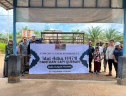 MOMEN IDUL ADHA, JULONG GROUP KALSEL SALURKAN 19 SAPI QURBAN UNTUK WARGA DAN KARYAWAN