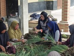 DARI DPRD KE LAHAN PERTANIAN, SISKA MONALISA IKUT PANEN BERSAMA PETANI