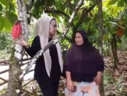 KETUA TMI BANJAR BELAJAR PENGELOLAAN KAKAO DI POLEWALI MANDAR, SIAPKAN INOVASI UNTUK PETANI BANJAR