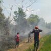 TUDINGAN PEMBAKARAN LAHAN DIBANTAH, PT PALMINA SEBUT API DIDUGA DATANG DARI LUAR KEBUN