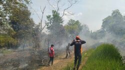 TUDINGAN PEMBAKARAN LAHAN DIBANTAH, PT PALMINA SEBUT API DIDUGA DATANG DARI LUAR KEBUN