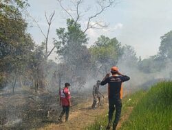 TUDINGAN PEMBAKARAN LAHAN DIBANTAH, PT PALMINA SEBUT API DIDUGA DATANG DARI LUAR KEBUN