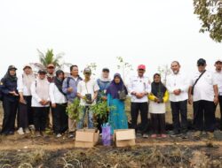 JERUK PETANI CERBON HANGUS DILALAP API, PEMPROV KALSEL SIAPKAN BIBIT UNTUK PEMULIHAN