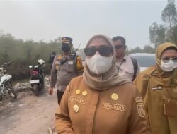 DIDAMPINGI LISA HALABY, MENHUT RAJA JULI ANTONI TINJAU HUTAN LINDUNG BEKAS TERBAKAR