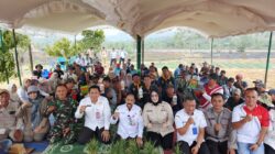 PANEN BAWANG MERAH DI TENGAH KEMARAU, PEMPROV KALSEL SIAPKAN DUKUNGAN BAGI PETANI PENGARON
